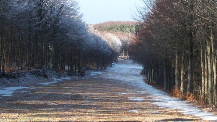Una pista prima dell'innevamento
