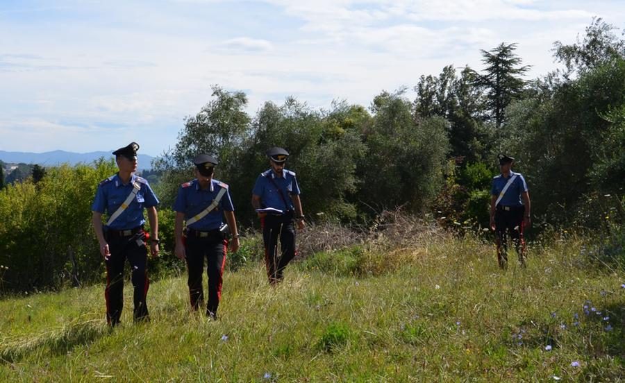 Trattore rubato a Serdiana ritrovato nelle campagne di Guasila grazie al gps