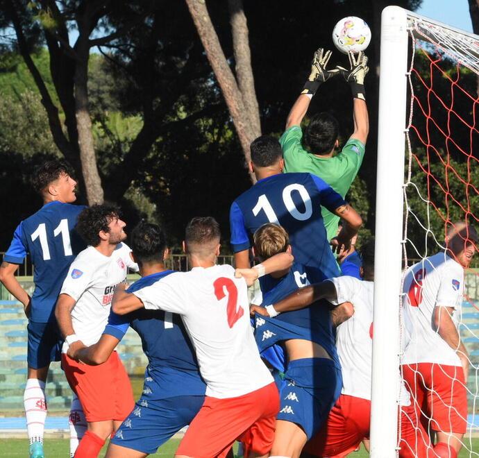 Grifone, tre insidie a Ostia Lido 