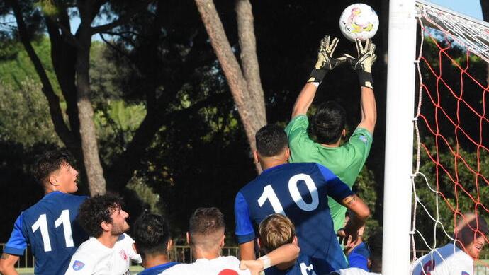 Grifone, tre insidie a Ostia Lido
