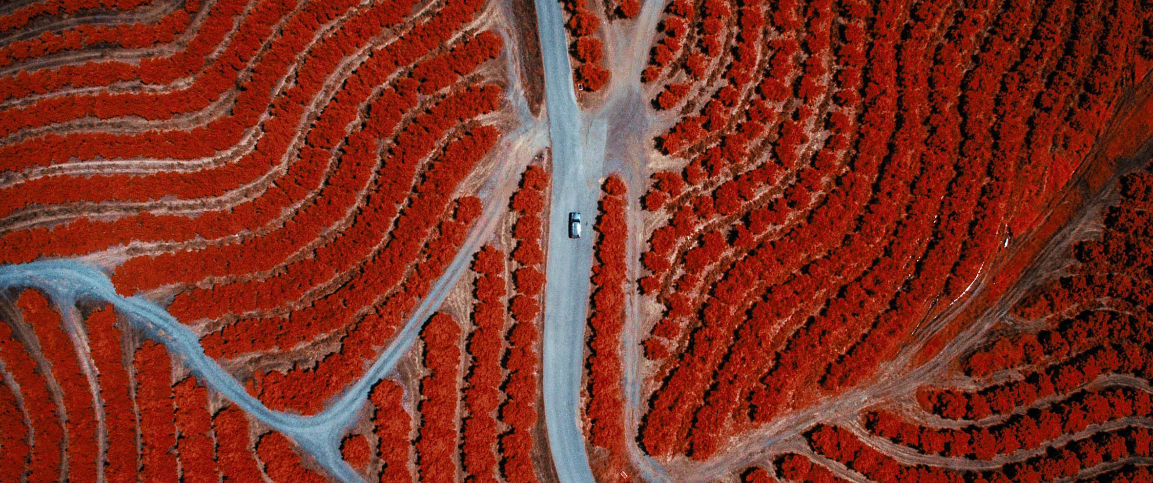 Il Festival dei Popoli racconta il mondo in cento docufilm
