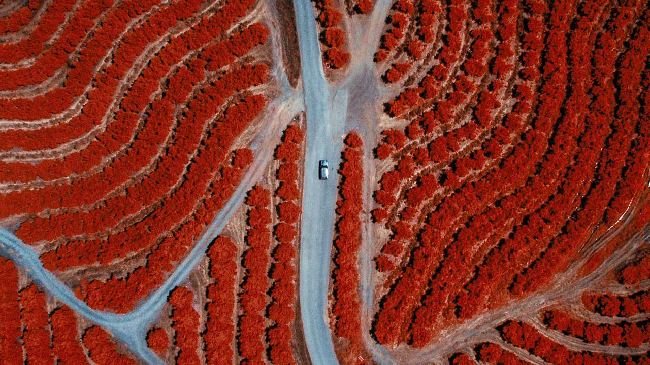 Il Festival dei Popoli racconta il mondo in cento docufilm