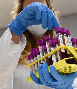 Covid, reintegrati i  no vax negli ospedali: nessuno è medico. Ieri 333 casi e un morto