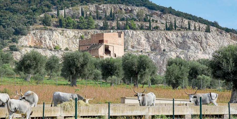 
	Buca dei Lucchesi, per decenni una cava immersa nel paesaggio dolce della Maremma agricola Qui nascer&agrave; l&rsquo;albergo termale (Foto Bf)


