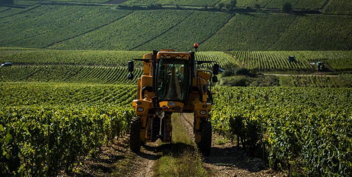Le colline di Casale Marittimo