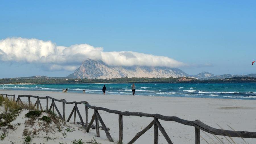 La spiaggia della Cinta con Tavolara sullo sfondo 