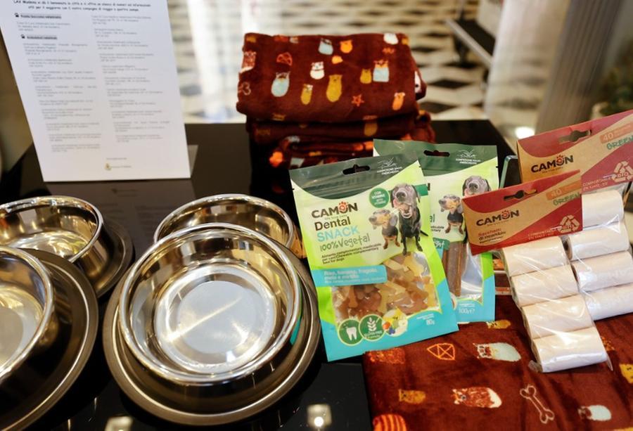 Modena, in albergo kit con alimenti, ciotole e copertine per gli animali al seguito dei turisti