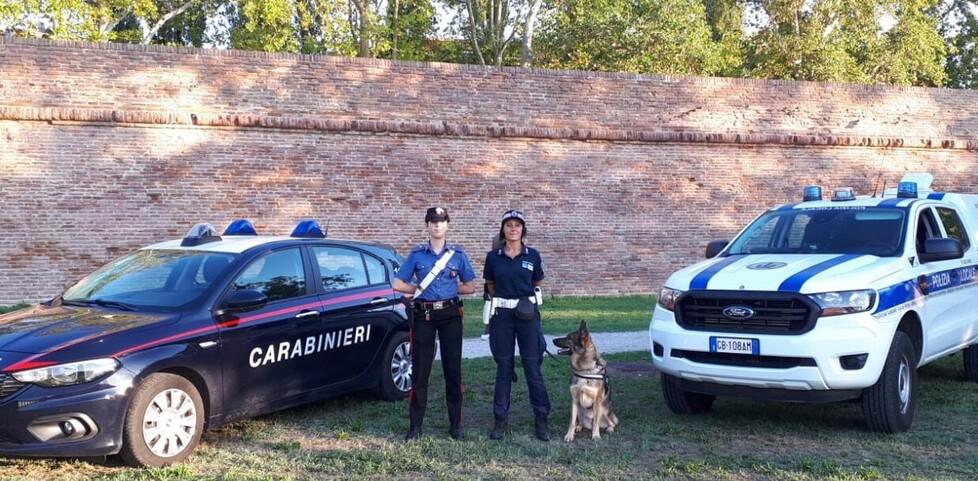 Ferrara, rapina telefono ad uno studente e l’aggredisce con piede di porco 