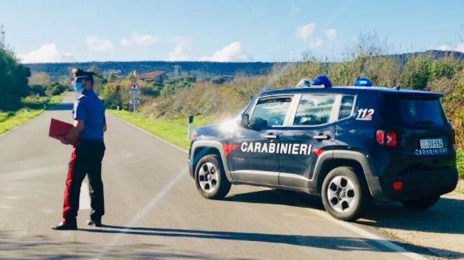 Fucilata contro il cane pastore entrato nel suo podere: denunciato