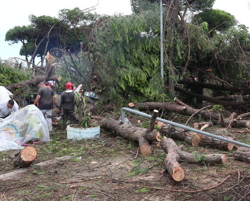 Sopra la pineta della Caravella dopo la devastazione di agosto