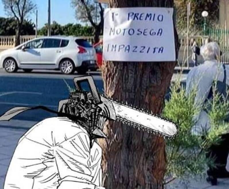 Ironia sul taglio delle tamerici a San Jacopo: "Ecco il premio motosega impazzita" 