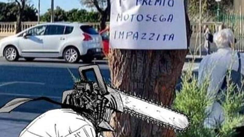 Ironia sul taglio delle tamerici a San Jacopo: "Ecco il premio motosega impazzita"