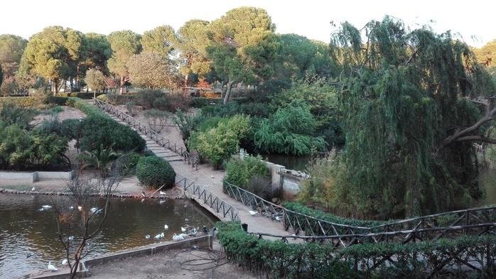 Pavoni morti di aviaria a Monte Urpinu, verranno abbattuti 200 animali