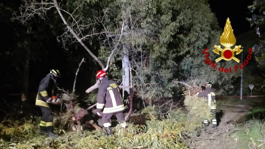 Aidomaggiore, albero cade sui fili dell’energia elettrica, vigili del fuoco all’opera