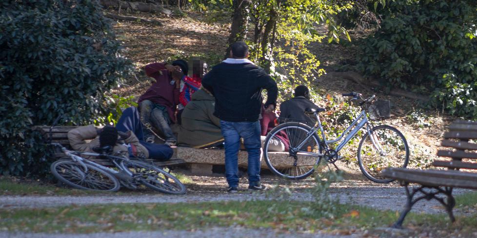 Modena Maxi-rissa ai Giardini Ducali Lo scontro tra bande di spacciatori 