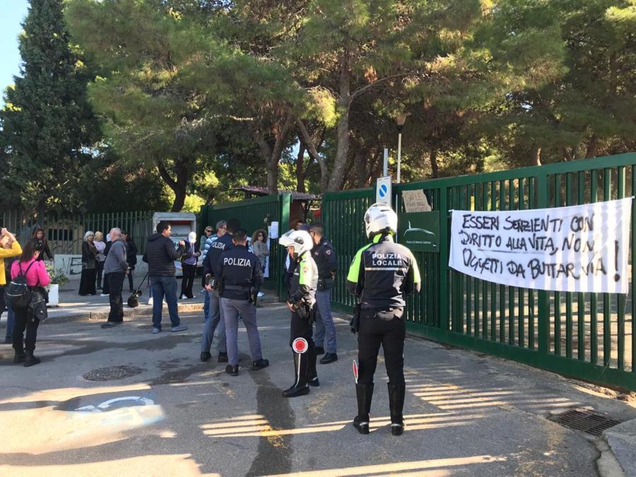 
	La manifestazione in via Pietro Leo per scongiurare l'abbattimento di pavoni, oche e anatre di Monte Urpinu <em>(foto Mario Rosas)</em>

