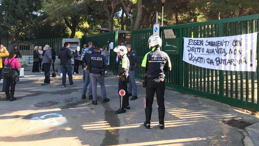 La manifestazione in via Pietro Leo per scongiurare l'abbattimento di pavoni, oche e anatre di Monte Urpinu <em>(foto Mario Rosas)</em>
