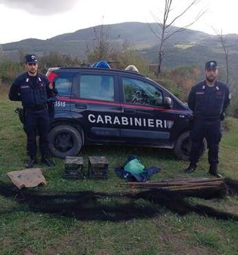 Reti e pali per la cattura illegale di uccelli: tre denunciati dai carabinieri forestali 