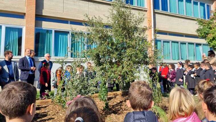 A Montemurlo nasce un “bosco” davanti alla scuola elementare