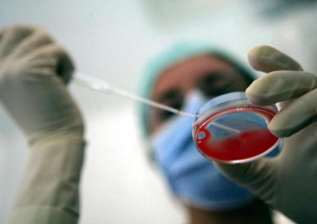 Reggio Emilia primeggia in regione per cicli di procreazione assistita