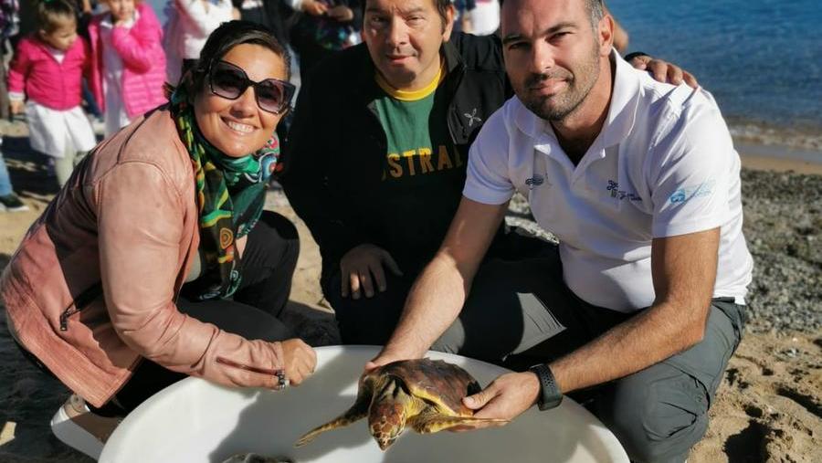 Tortolì, guarita dalle ferite la tartaruga Tarturo è stata rimessa in mare davanti a un gruppo di scolari