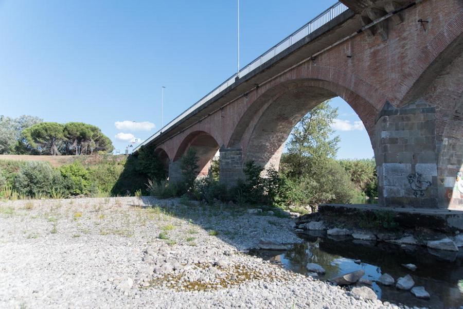 
	Il fiume Serchio a Lucca

