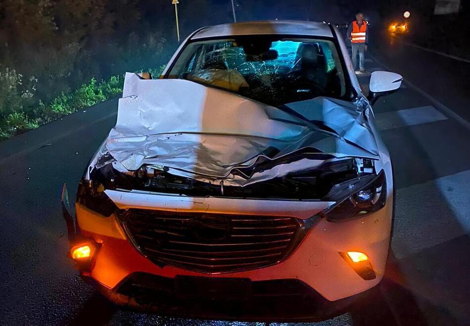 Serramazzoni: capriolo piomba sull’Estense e gli distrugge l’auto seminuova 