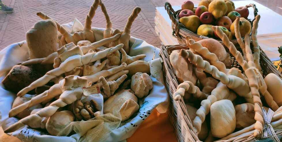 Coppia o panini bauletto. Il “vero” pane di Ferrara 