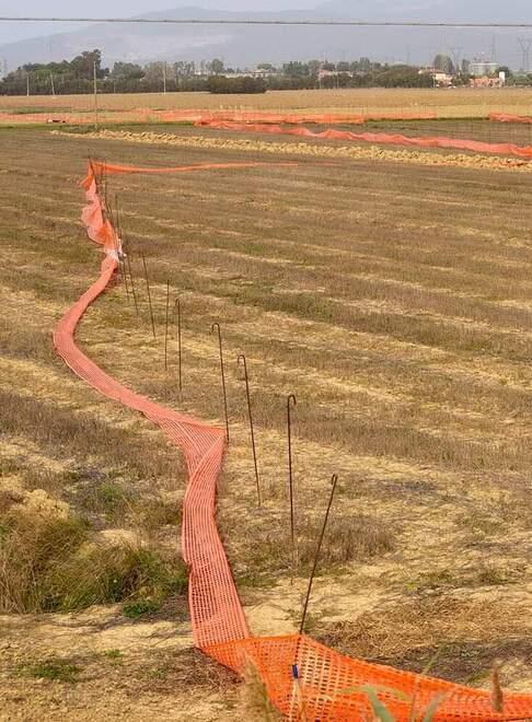 
	I lavori di perimetrazione a Vignarca (Foto Paolo Barlettani)

