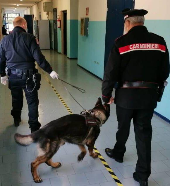 Firenze, blitz dei carabinieri nelle scuole contro lo spaccio di droga