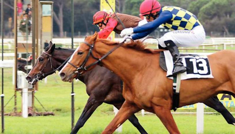 Ippica, a S. Rossore va in scena il premio “Enrico Risaliti”
