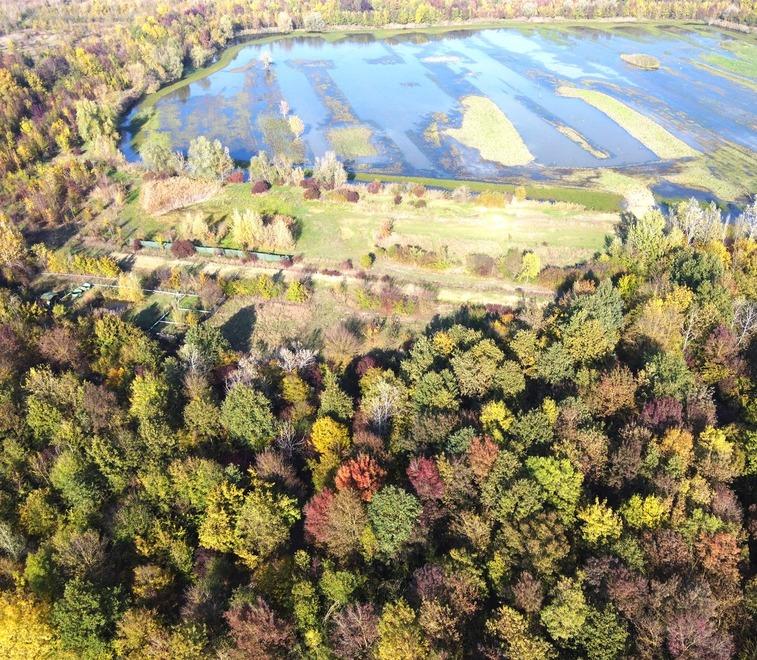 Carpi. Testuggine europea, Fossoli protagonista del progetto di tutela 
