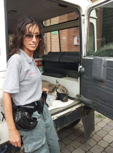 Nella foto l’esperta Viviana Viviani, agente della polizia provinciale