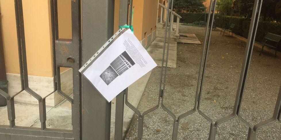 Modena, il mistero dei piccioni morti: carcasse appese ai cancelli di casa 