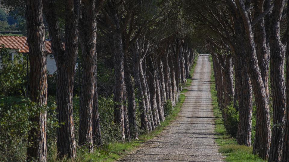 Strada della Sabatina: bocciato il ricorso della Provincia