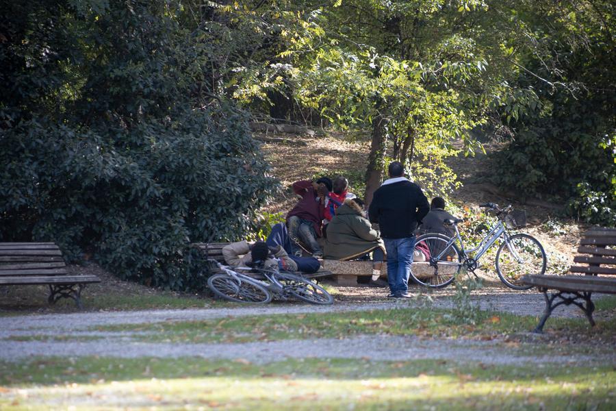Rissa ai giardini ducali