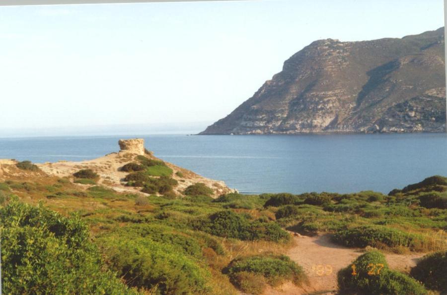 Cade dalla torre Negra di Porto Ferro: giovane in ospedale a Sassari
