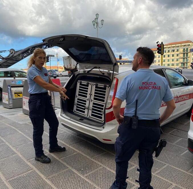 Rapinatore delle Vettovaglie fermato sul Ponte di Mezzo
