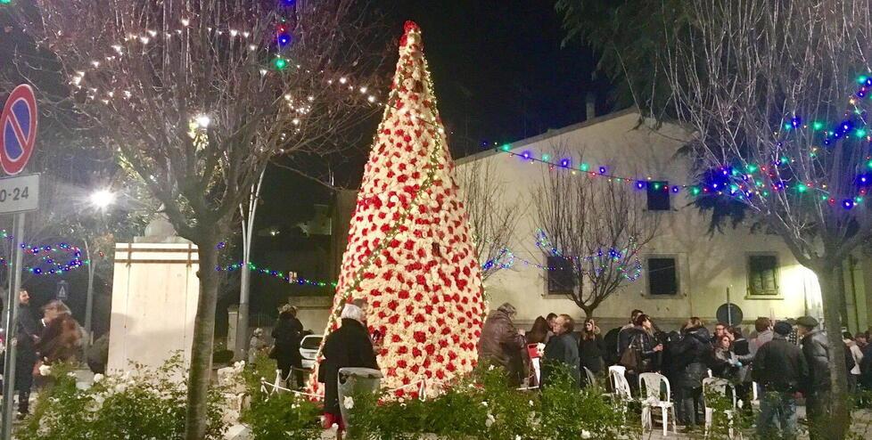 Niente luminarie ma illuminazioni soft: luci sugli alberi di Natale e sul corso con i fili a risparmio energetico