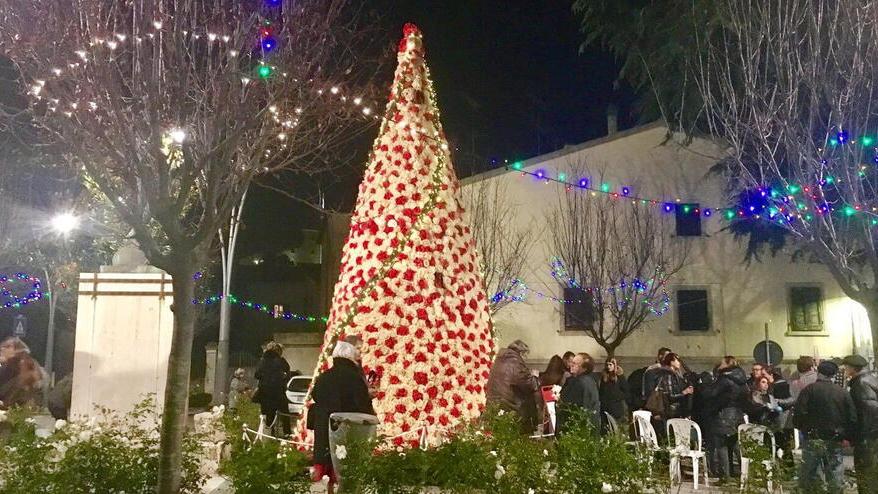 Niente luminarie ma illuminazioni soft: luci sugli alberi di Natale e sul corso con i fili a risparmio energetico