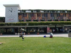 Galilei, passeggeri in aumento: vicina la quota dei 3,5 milioni