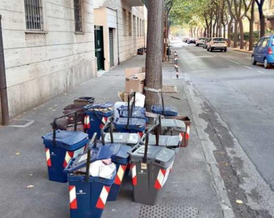 
	I bidoncini della raccolta differenziata porta a porta

