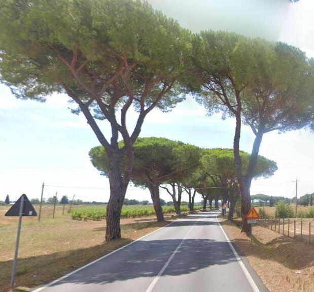 Nella foto qui a lato, un tratto della strada provinciale 398 nell’area di Cafaggio
