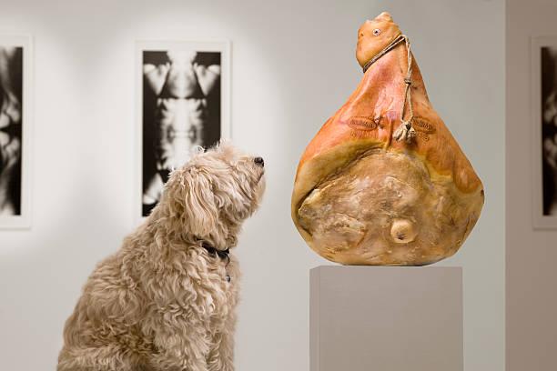 Al museo con il cane? Ora c’è il dog sitter