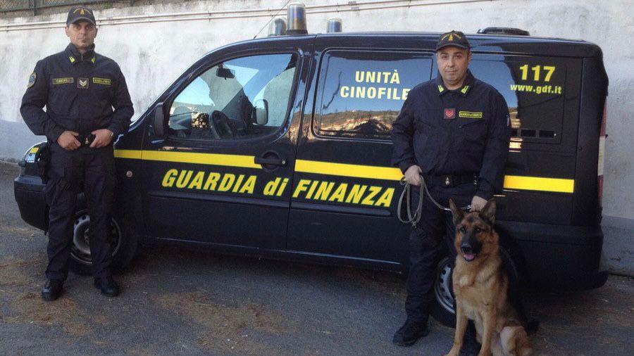 I baschi verdi della guardia di finanza con i cani antidroga