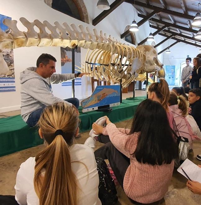A Caprera centinaia di visitatori per lo scheletro del capodoglio 