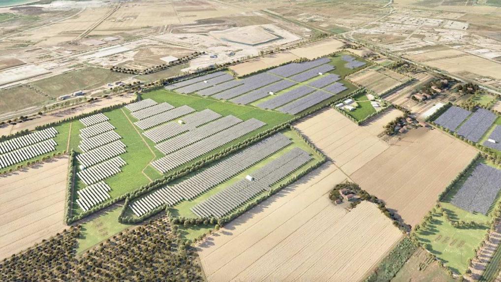 Piombino, energia e coltivazioni in campo: autorizzato il parco agrivoltaico