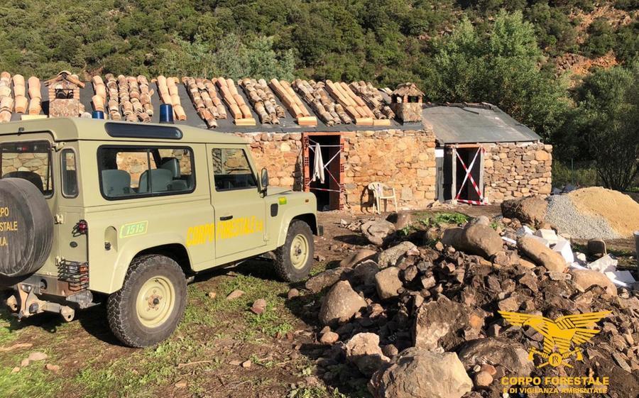 Da agriturismo a deposito di marijuana: sequestrati 100 chili dalla Forestale