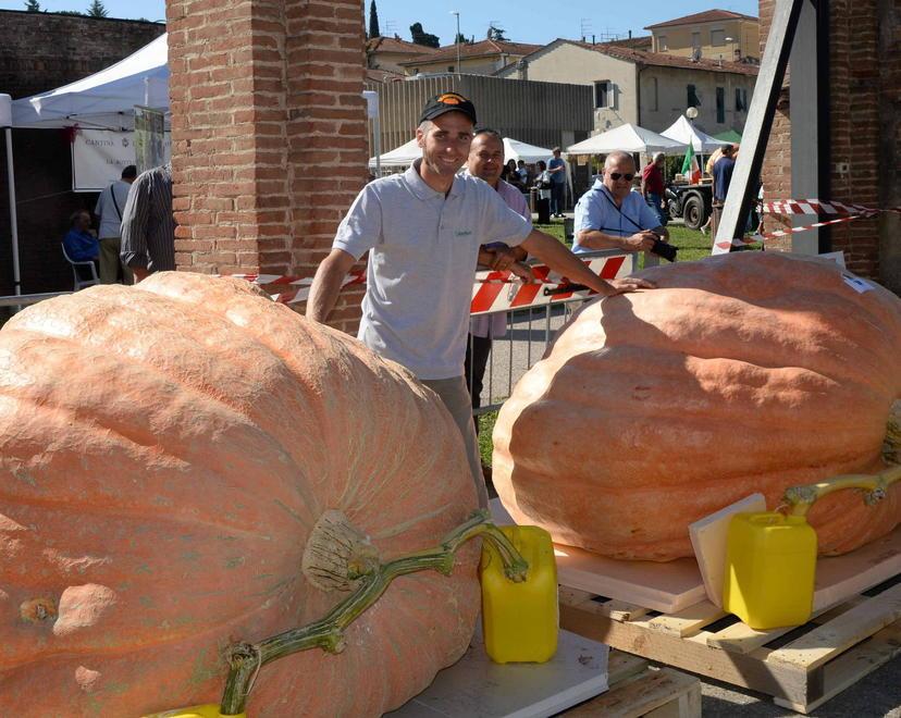 Zucche giganti, Cutrupi centra il tris al campionato italiano 