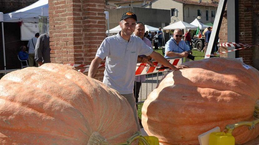 Zucche giganti, Cutrupi centra il tris al campionato italiano